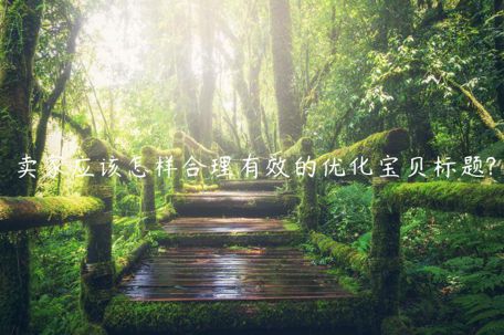 賣家應(yīng)該怎樣合理有效的優(yōu)化寶貝標(biāo)題?